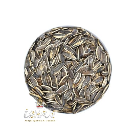 دور الشمس مالح