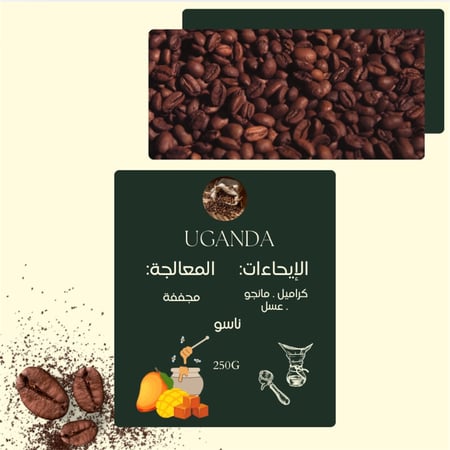 بكج الأستكشاف