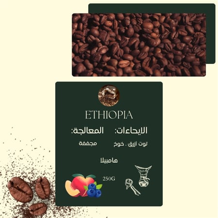 بكج الأستكشاف