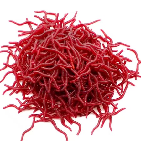 طعم صيد سمك (طعم صناعي)