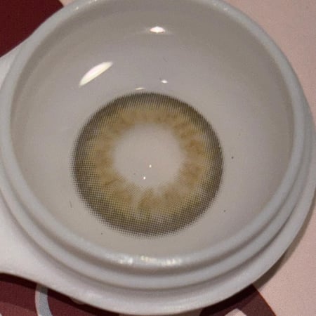 تايلور براون نظر