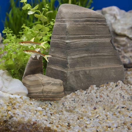 ديكور دوفين صخور الجبال