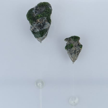 ديكور ارض الاحلام وهو ديكور يشبه الحجارة اللتي تطفو في وسط الحوض وكانها تعوم بشكل غريب يشبه الاحلام - صغير