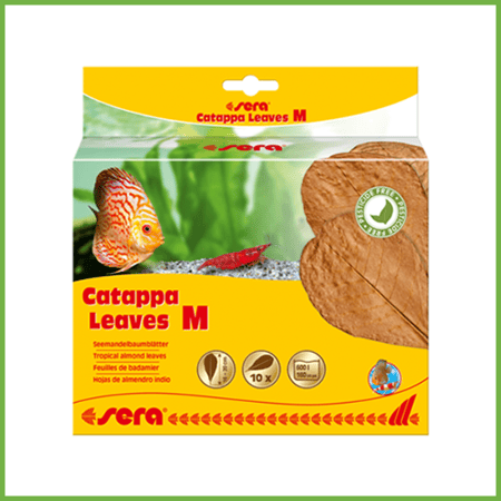 سيرا كاتابا ميديوم اوراق اللوز الاستوائية لتكييف مياه احواض السمك