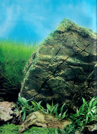 خلفيات مناظر طبيعية وجهين ارتفاع 50 سم