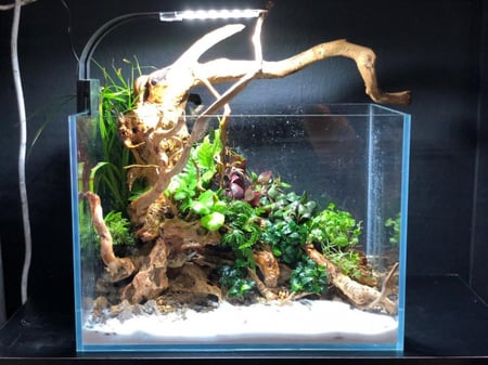 اضاءة LED معلقة لأحواض السمك 10 واط X5