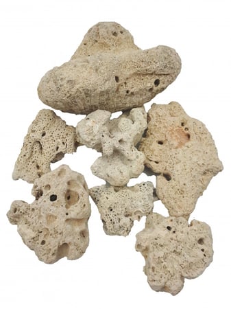 مرجان معالج ابيض نصف كيلو