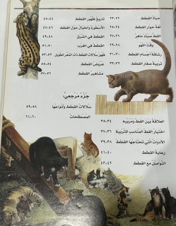 الكتاب الأفضل في القطط اماندا اونيل 64 صفحة