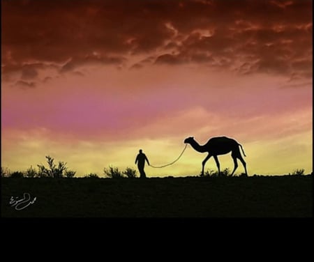 لوحات جدارية منوعه من اعمالي في الزخرفة النجدية