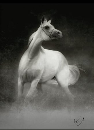 لوحات جدارية منوعه من اعمالي في الزخرفة النجدية