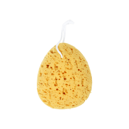 ديفينا  إسفنجة أطفال-DIVINA BABY SPONGE