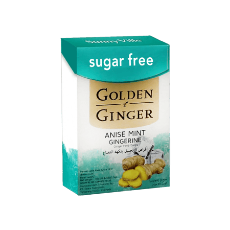 جولدن جنجر أقراص الزنجبيل والنعناع والينسون 45 جرام-GOLDEN GINGER ANISE MINT 45G