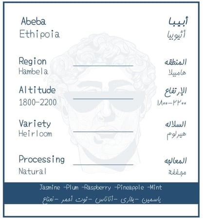 قهوة اثيوبيا أبيبا من محمصة ثلاثة وتسعين وزن 250 جرام