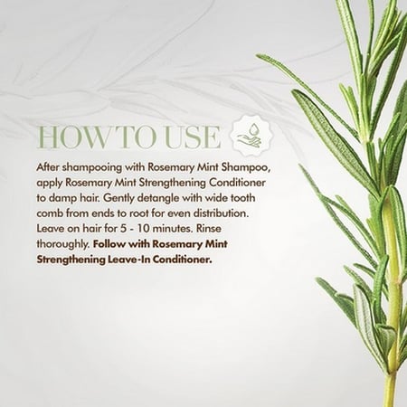 بلسم اكليل الجبل