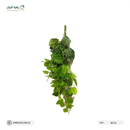 نبات بوثوس المعلق الصناعي مقاس 80 سم