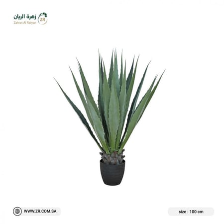 نبات صبار أجاف أميريكانا صناعية ارتفاع 100سم