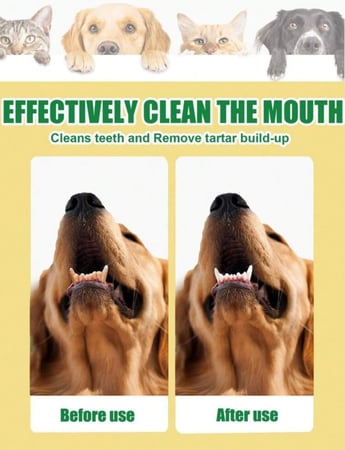 بخاخ العناية بالاسنان للقطط والكلاب 30 مل