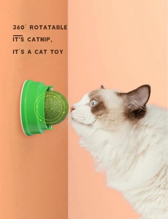 كورة كات نيب قابله للتثبيت للقطط لون عشوائي