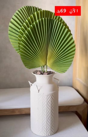 نبتة بمركن معدن