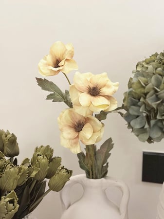 زهرة الخشخاش