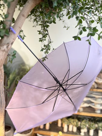 مظلة