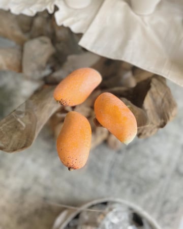 ديكور مانجو