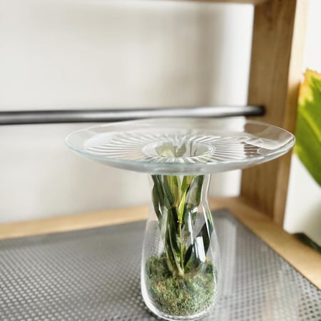 استاند تقديم زجاج