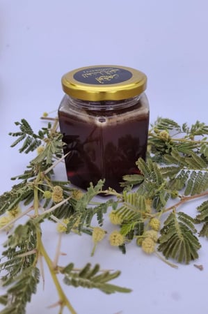 عرض عسل طلح نجدي 1447