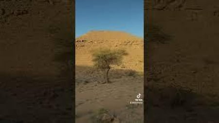 عرض عسل طلح نجدي 1447