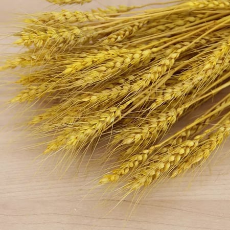 حزمة سنابل مجففة