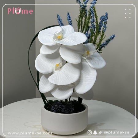 فازه بورد عصري مع عشب صناعي