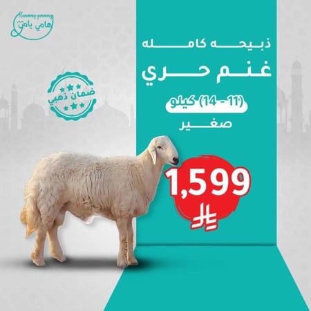 ذبيحه حري كامله صغير