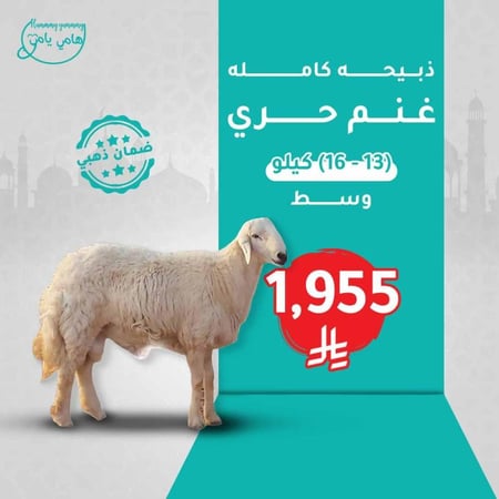 ذبيحه حري كامله متوسط