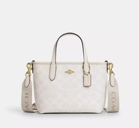 City Mini Tote Bag In Signature Canvas