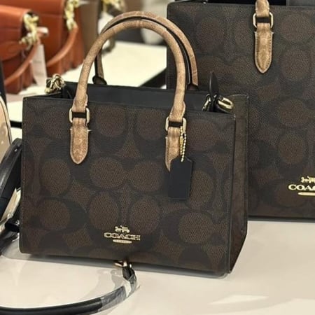 Maggie Small Tote Bag In Blocked Signature Canvas