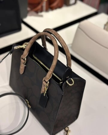 Maggie Small Tote Bag In Blocked Signature Canvas