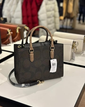 Maggie Small Tote Bag In Blocked Signature Canvas