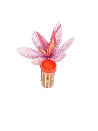 اكا زعفران | علبة ميني زعفران للتوزيع حجم صغير | 0.1 جرام | 20 أسطوانة | AQSF-0.1g-20