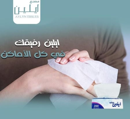 ايلين | حزمة مناديل 200 | 50 علبة | 10,000 منديل وجه | مفرد | AY200-50