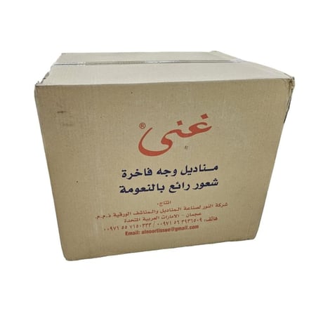 غنى | حزمة مناديل 600 | 40 علبة 24,000 منديل وجه مفرد GN600-40