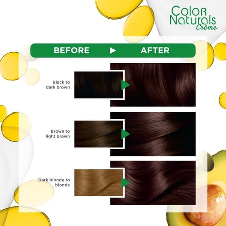 غارنييه | كولور ناتشرلز، صبغة شعر، لون شوكولاتة بني رقم 4.15 - 1 عبوة  Garnier | Color Naturals 4.15 Brownie Chocolate