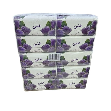 غنى | حزمة مناديل 600 | 40 علبة 24,000 منديل وجه مفرد GN600-40