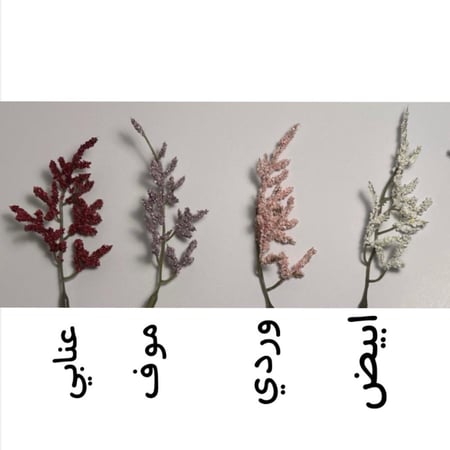 مبخر القوس(تغليف تل)