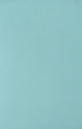 زوج أغطية وسادة الحرير