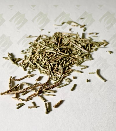 عشبة ابهيل ( عرعر)