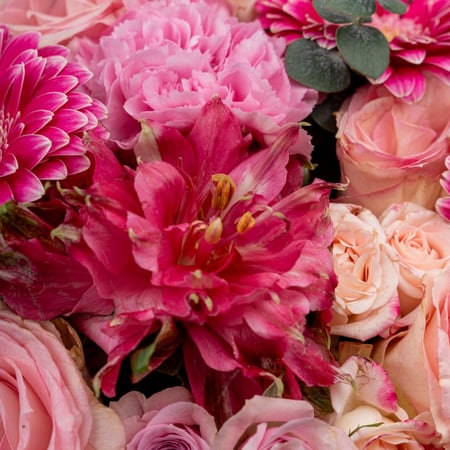 سيمفونية الورد الوردي