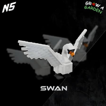 Swan