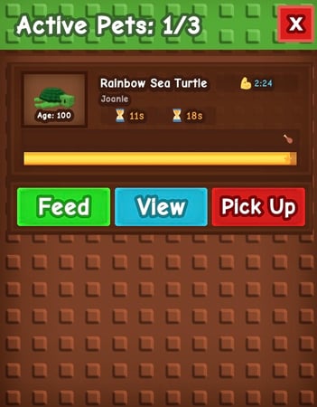 Rainbow Sea Turtle