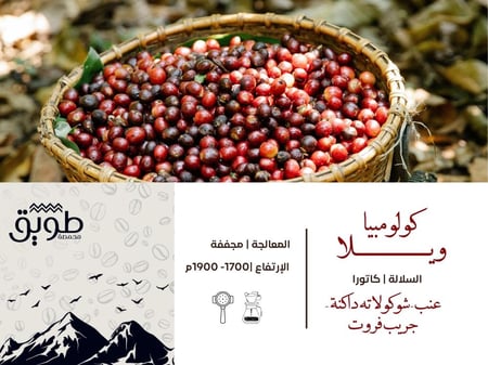 بوكس التوفير