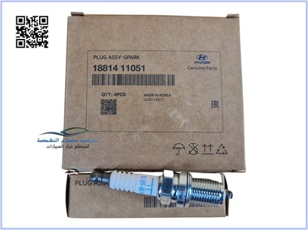 بواجي السيارة